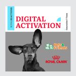 How Generation Y turned everyday pet moments into 1M+ impressions in just 14 days