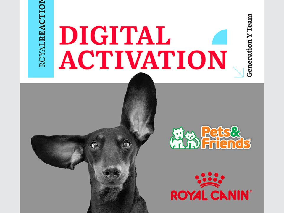 How Generation Y turned everyday pet moments into 1M+ impressions in just 14 days